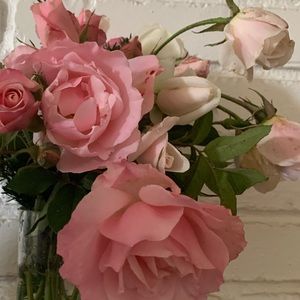 Meet your Posher, Vannesa